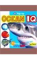 Pop Up Ocean IQ