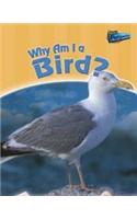 Why am I a Bird?