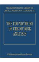 The Foundations of Credit Risk Analysis
