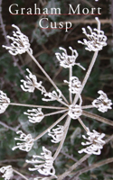 Cusp: (English)