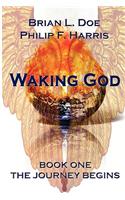 Waking God