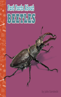 Fast Facts about Beetles