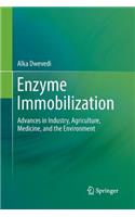 Enzyme Immobilization: Advances in Industry, Agriculture, Medicine, and the Environment