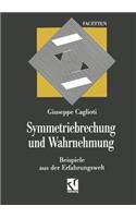 Symmetriebrechung Und Wahrnehmung