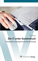 IT unter Kostendruck