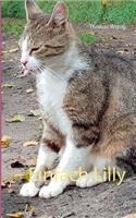 Einfach Lilly
