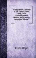 Comparative Grammar of the Sanskrit, Zend, Greek, Latin, Lithuanian, Gothic, German, and Sclavonic Languages, Volume 3