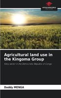 Agricultural land use in the Kingoma Group