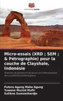 Micro-essais (XRD; SEM; & Pétrographie) pour la couche de Clayshale, Indonésie