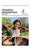 Indications géographiques