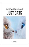 Insta Grammar Just Cats