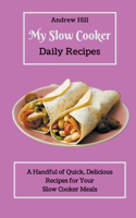 My Slow Cooker Daily Recipes