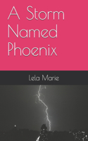 A Storm Named Phoenix: (1 Phoenix)