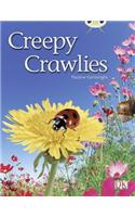 Bug Club Independent Non Fiction Year 1 Green B Creepy Crawlies