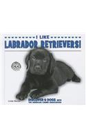 I Like Labrador Retrievers!