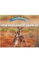 How Kangaroos Grow Up: (Animals Growing Up)