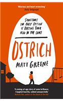 Ostrich