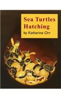 Sea Turtles Hatching