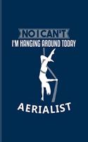 No I Can't I'm Hanging Around Today Aerialist