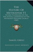 The History Of Methodism V1