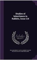 Studies of Inheritance in Rabbits, Issue 114