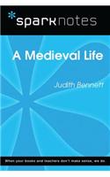 A Medieval Life (Sparknotes Literature Guide)