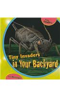 Tiny Invaders in Your Backyard