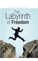 Labyrinth of Freedom