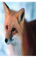Journal Red Fox Winter: (Notebook, Diary, Blank Book)(Seasonal Winter Wildlife Photo Journals Notebooks Diaries)