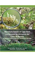 Miniature Forests of Cape Horn