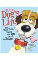 It's a Dog's Life: How Man's Best Friend Sees, Hears, and Smells the World