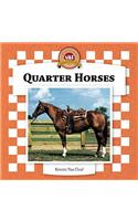 Quarter Horses
