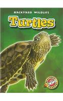 Turtles
