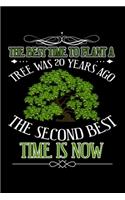 The Best Time to Plant a Tree