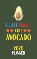 I Just Really Like Avocado 2020 Planner: Weekly Monthly 2020 Planner For People Who Loves Avocado 8.5x11 67 Pages