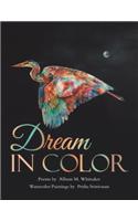 Dream in Color