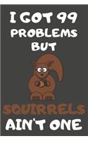 I Got 99 Problems But Squirrels Ain't One