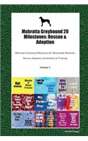 Mahratta Greyhound 20 Milestones