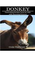 Donkey: Fascinating Donkey Facts for Kids with Stunning Pictures!
