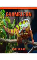 Chameleon! Learn about Chameleon and Enjoy Colorful Pictures