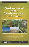 Morphoanatomical Atlas of Grass Leaves, Culms, and Caryopses