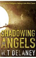 A Shadowing of Angels
