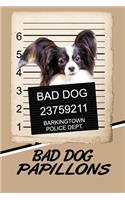 Bad Dog Papillons