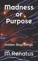 Madness or Purpose: Hidden Beginnings