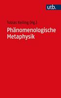 Phanomenologische Metaphysik
