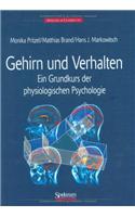 Gehirn und Verhalten