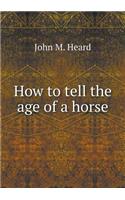 How to Tell the Age of a Horse