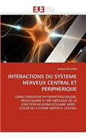 Interactions Du Systeme Nerveux Central Et Peripherique: (Omn.Univ.Europ.)