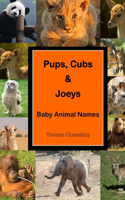 Pups, Cubs & Joeys - Baby Animal Names