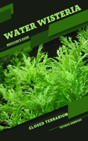 Water Wisteria: Closed terrarium, Beginner's Guide